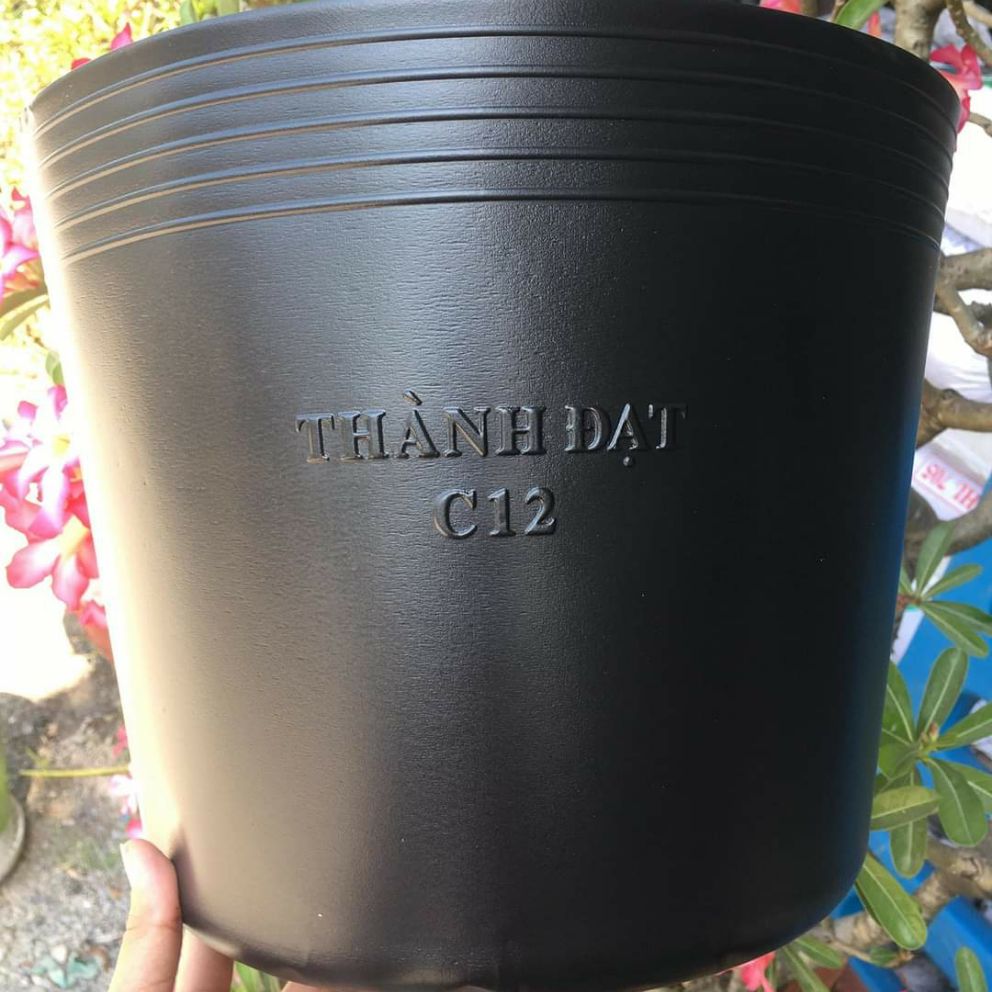 COMBO 5Cái Chậu đen dẻo C12 (loại dày tốt)