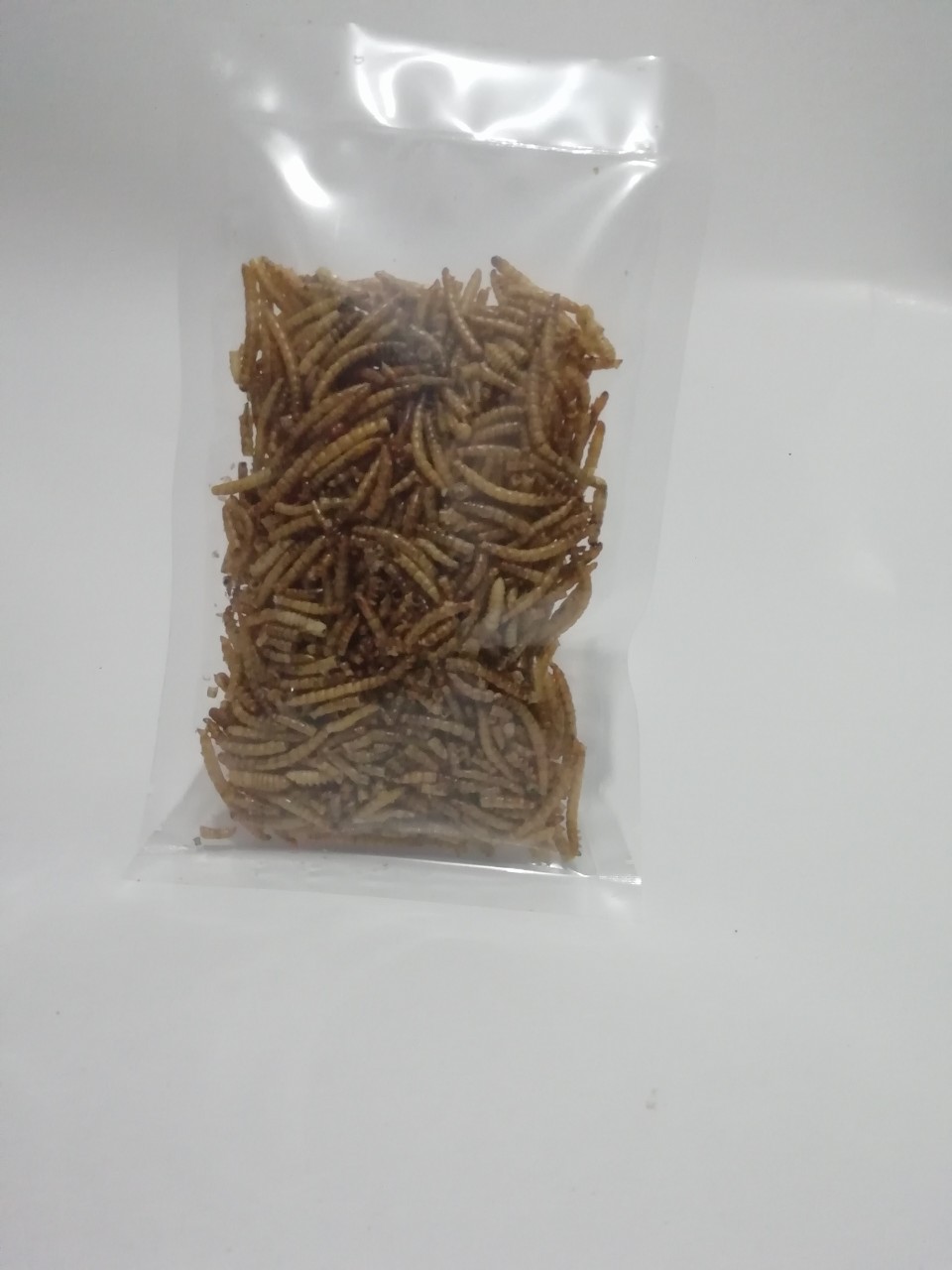 Sâu sấy khô size lớn dành cho nhím, hamster...