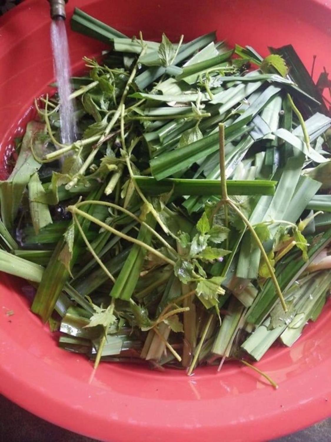 NƯỚC GỘI THẢO dượᴄ HUYỀN THOẠI
