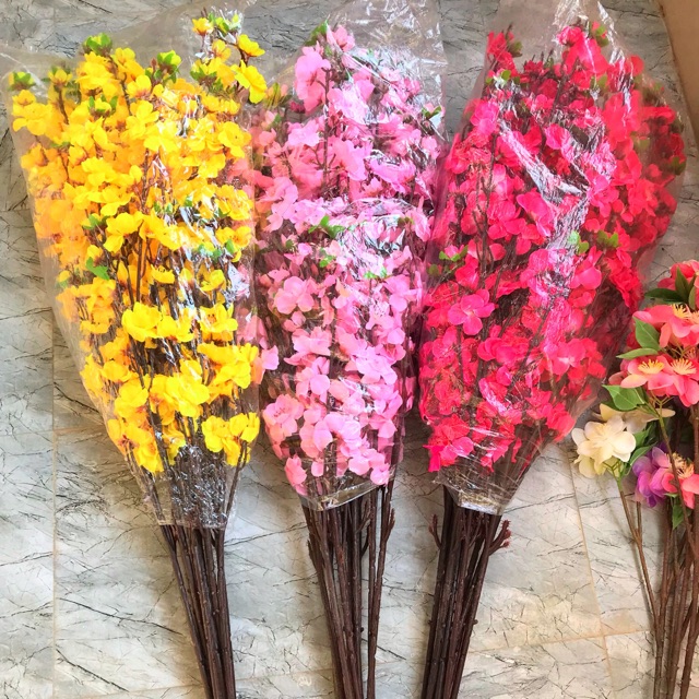 Mai đào cây 10 cành