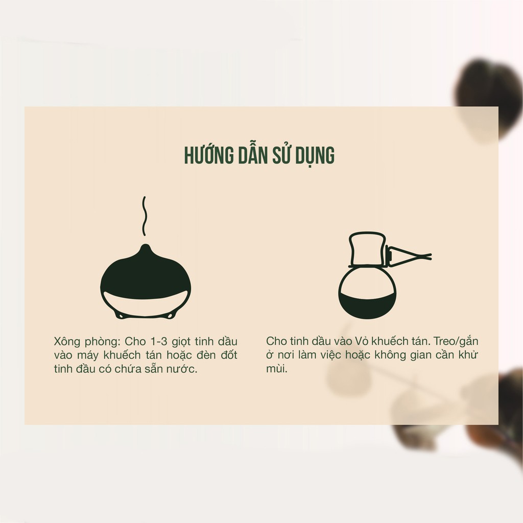 Tinh dầu Gừng 10ml JULYHOUSE