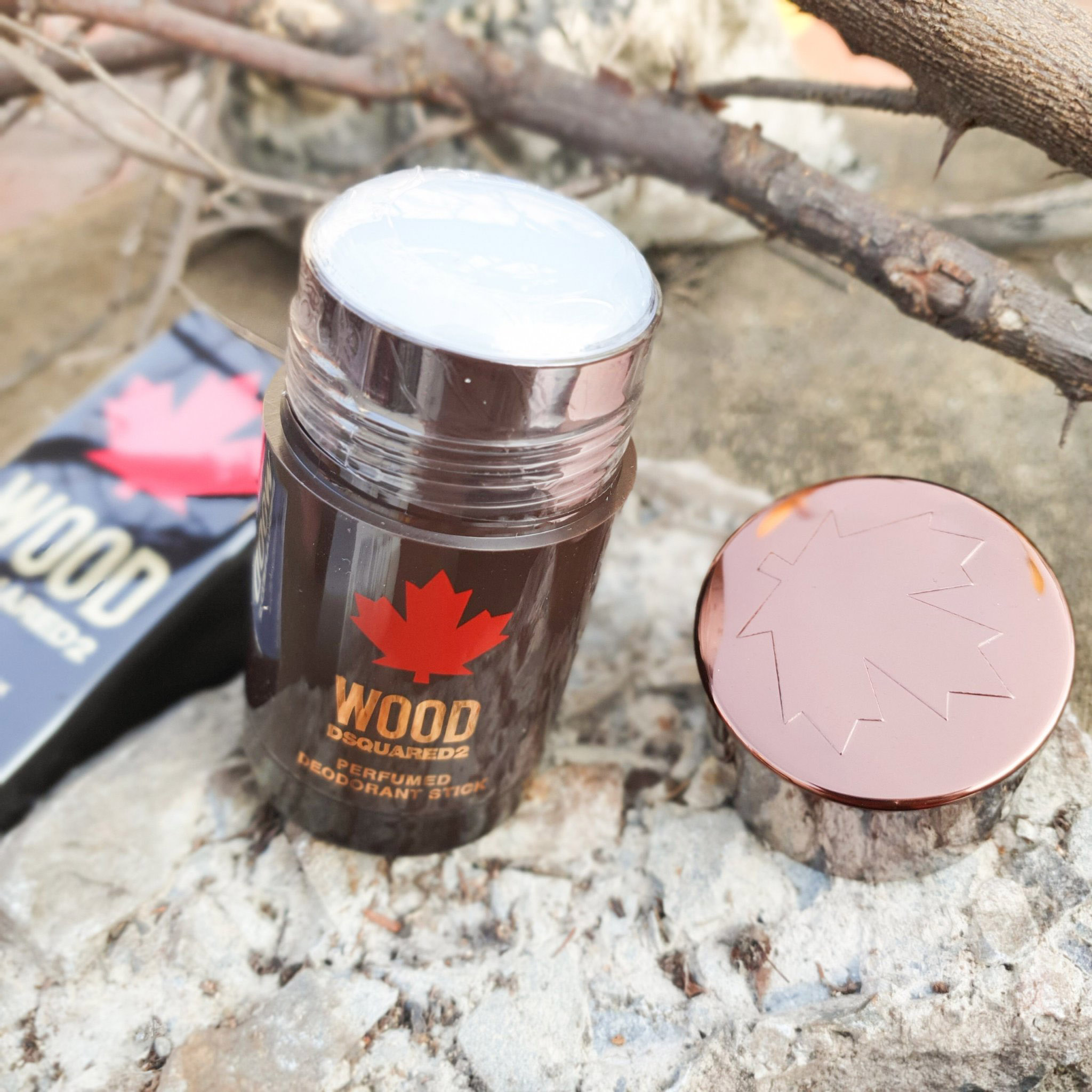Lăn khử mùi nước hoa nam Dsquared 2 Wood 75ml