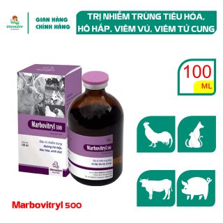 Vemedim Marbovitryl 500 thuốc tiêm chữa nhiễm khuẩn tiêu hóa trên chó thumbnail