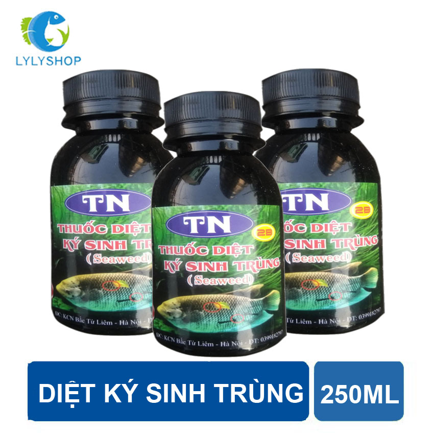 TN 2B Seaweed - Diệt Ký Sinh Trùng Ở Cá & Diệt Khuẩn, Diệt Tảo Trong Nước (100ml)
