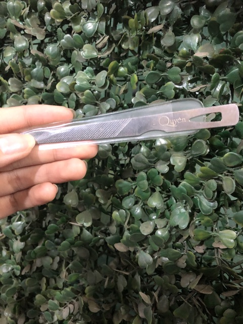 Cây lấy khoé Quyên ( dùng lấy khoé móng )