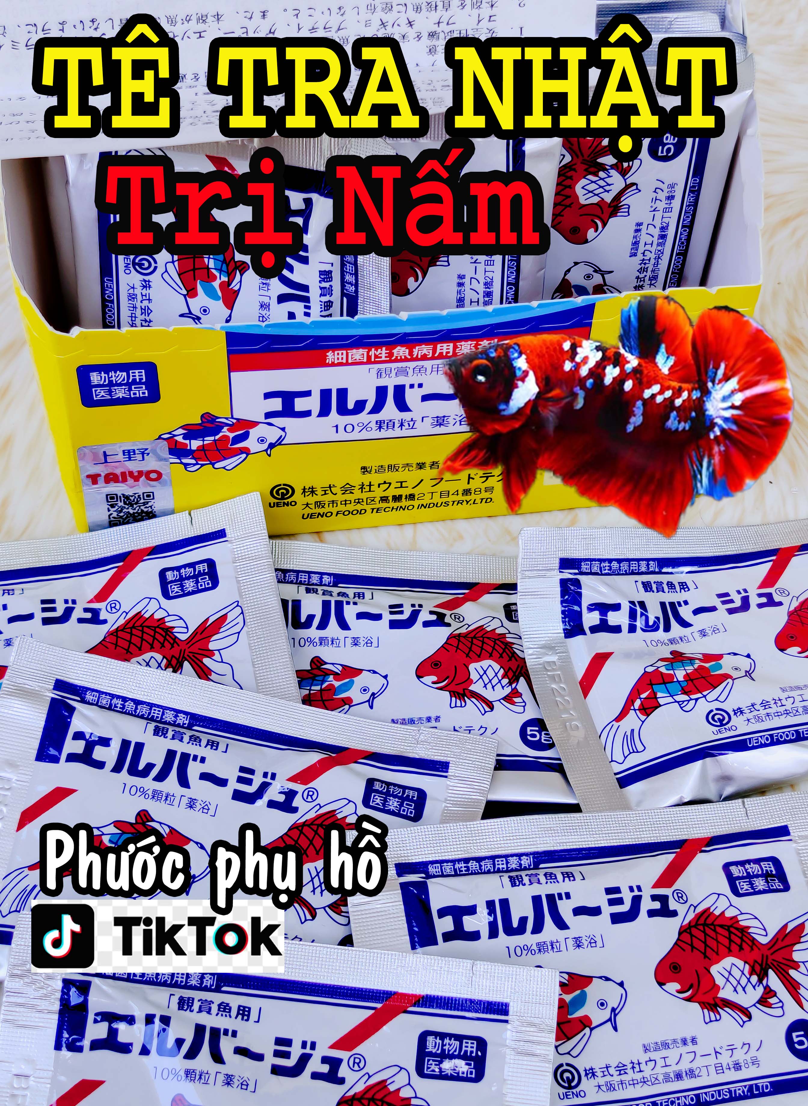 Tetra Nhật trị Nấm cá Betta . 7 Màu