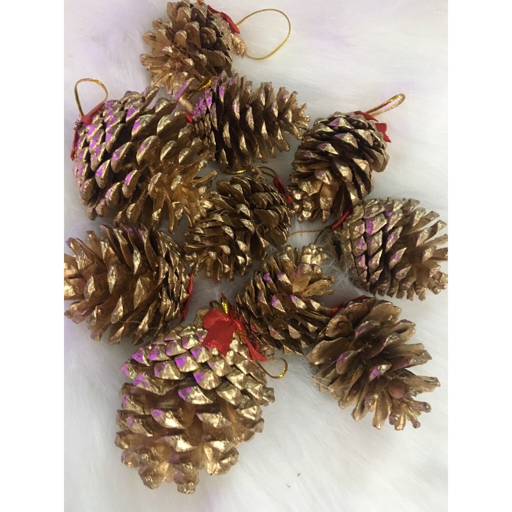 Combo 10 trái thông trang trí cây thông noel