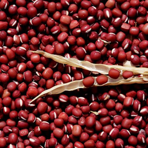 Xích tiểu đậu (đậu đỏ hạt nhỏ) 500Gr