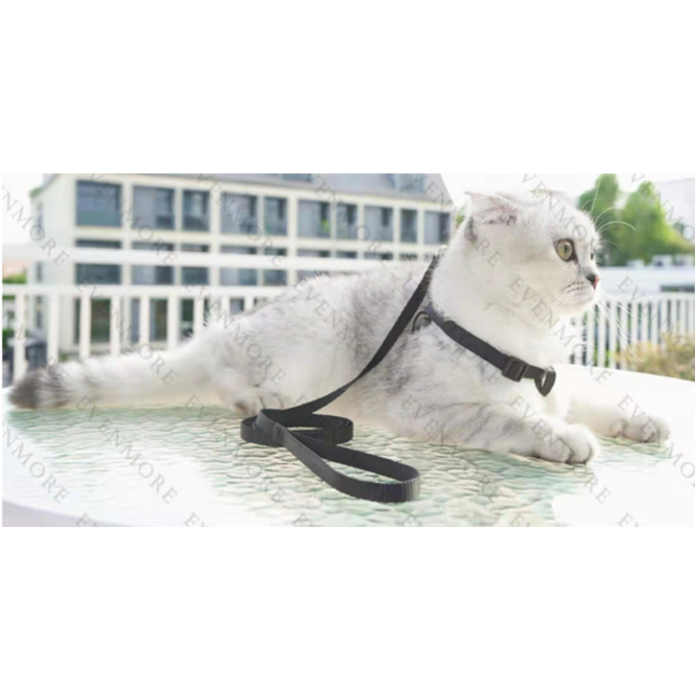 Pet Leash