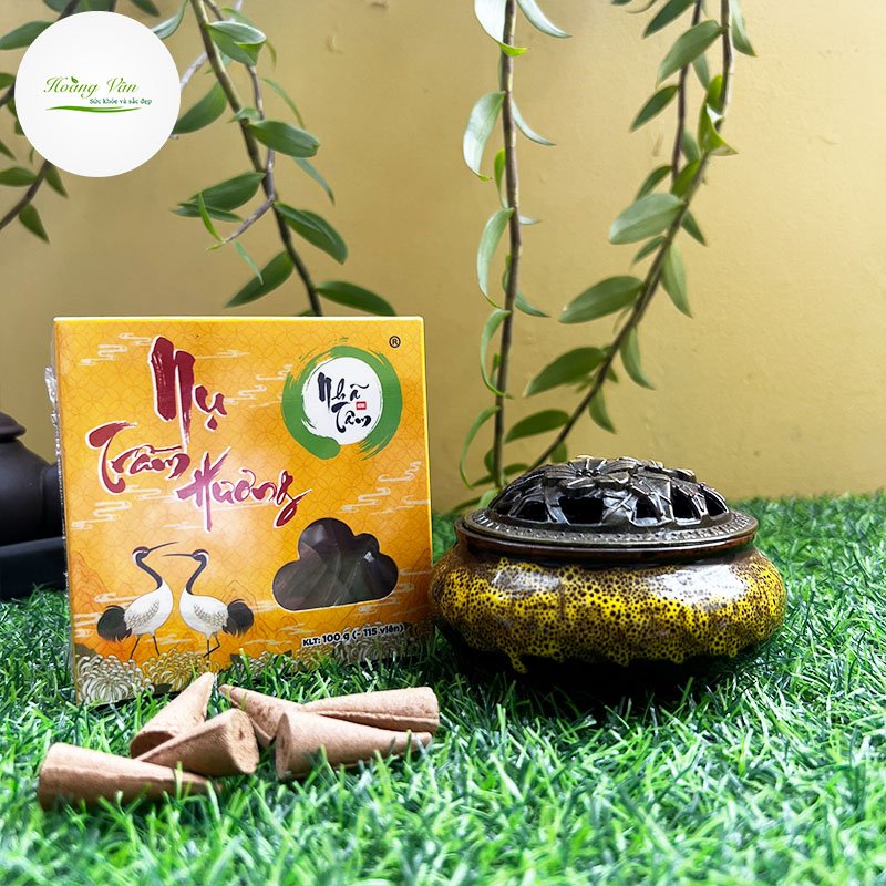 [Tặng lư xông] Hộp nhang nụ Nhã Tâm 100 gram