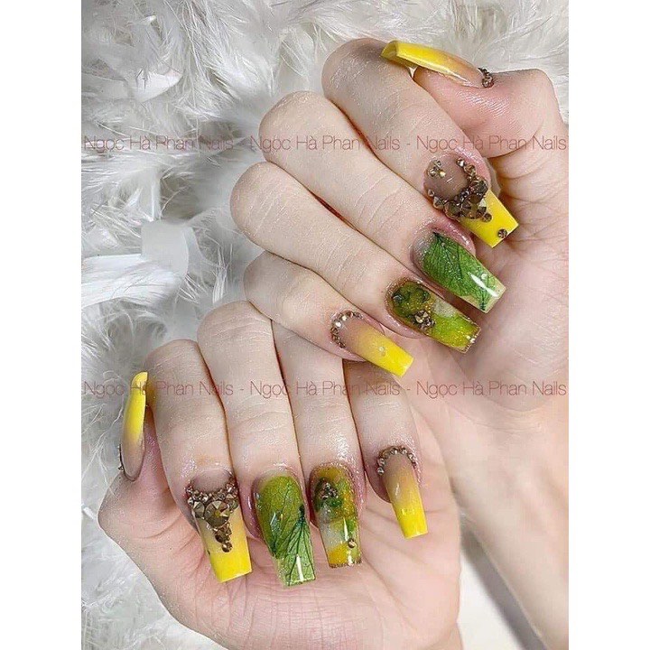 Hoa Khô tường vy cánh Mỏng Ẩn trang trí móng