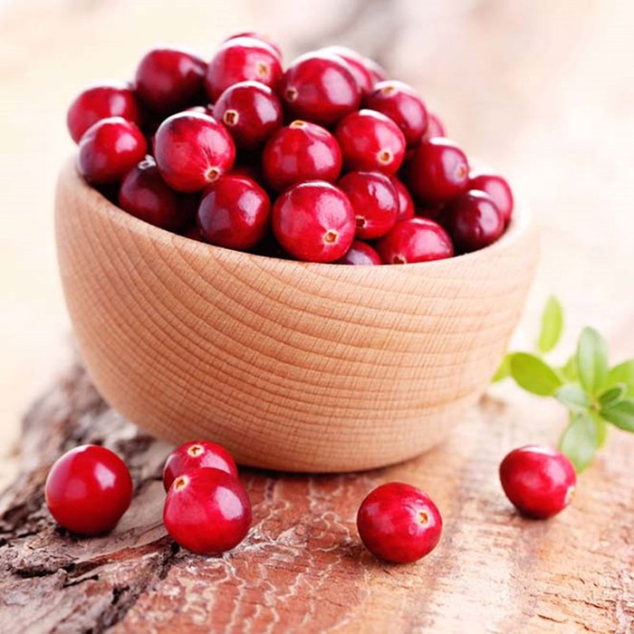 30 hạt giống Việt Quất đỏ