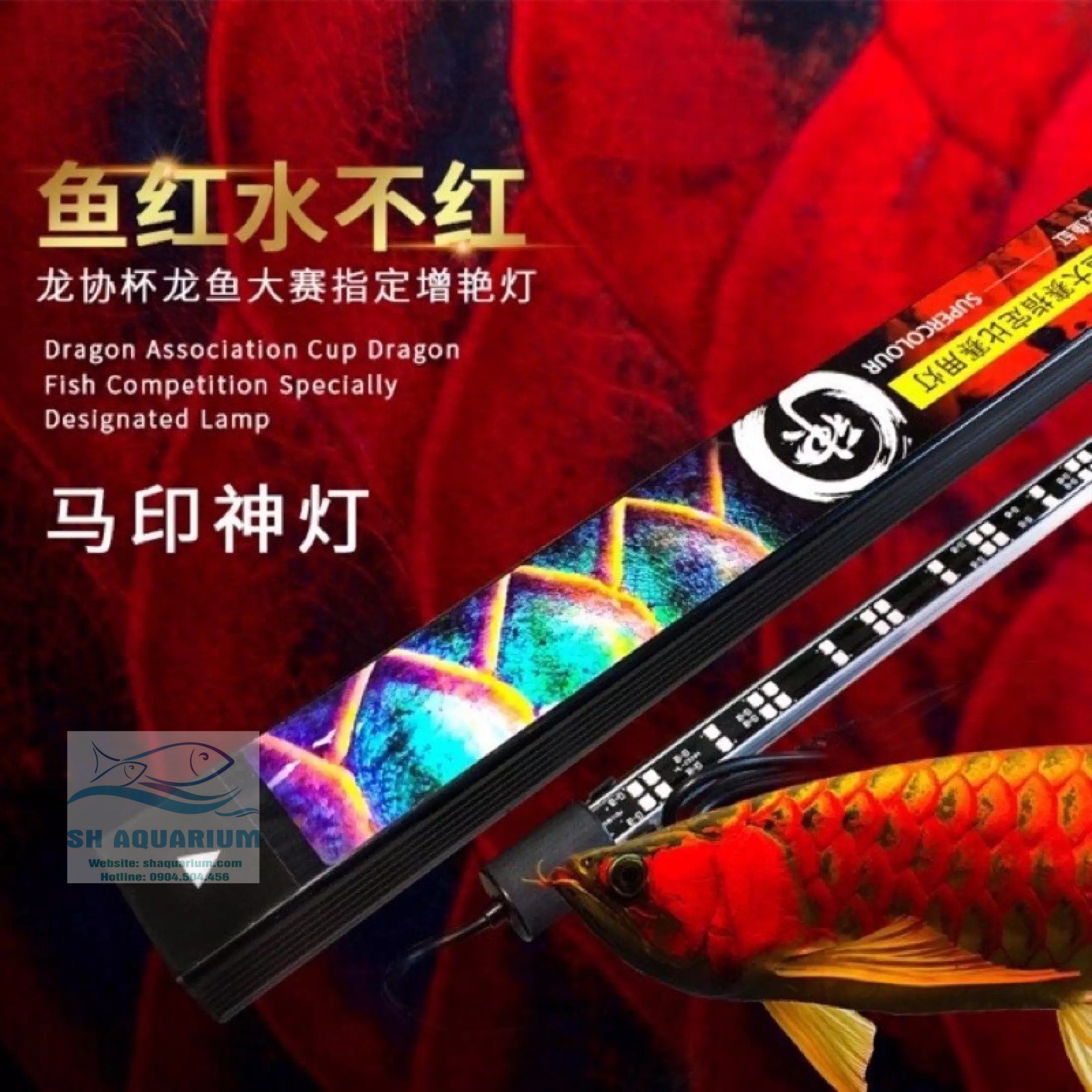 [HOÀN TIỀN 10%]ĐÈN LED CÁ RỒNG MAYIN SUPER COLOUR CHUYÊN DỤNG CHO HUYẾT LONG 142CM