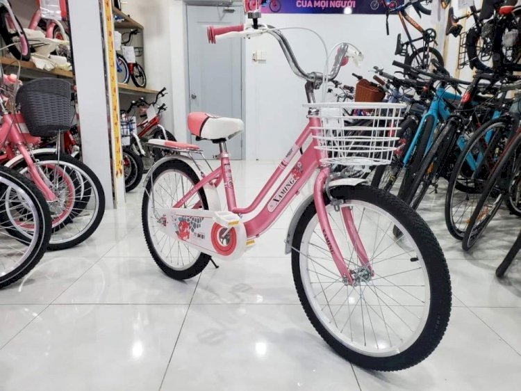 Xe Đạp Trẻ Em 20 Inch Xaming Nữ ( NEW 100 )