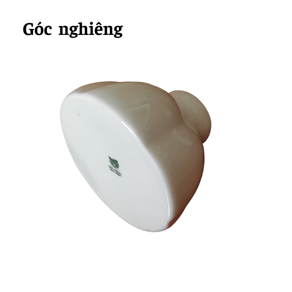 Quả nén sứ củ nén sứ muối dưa cà