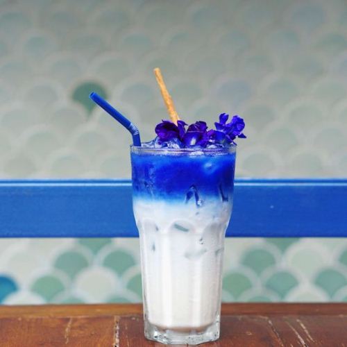 Bộ 6 Cốc Thủy Tinh Centra Long Drink Ocean – P01963 – 495ml