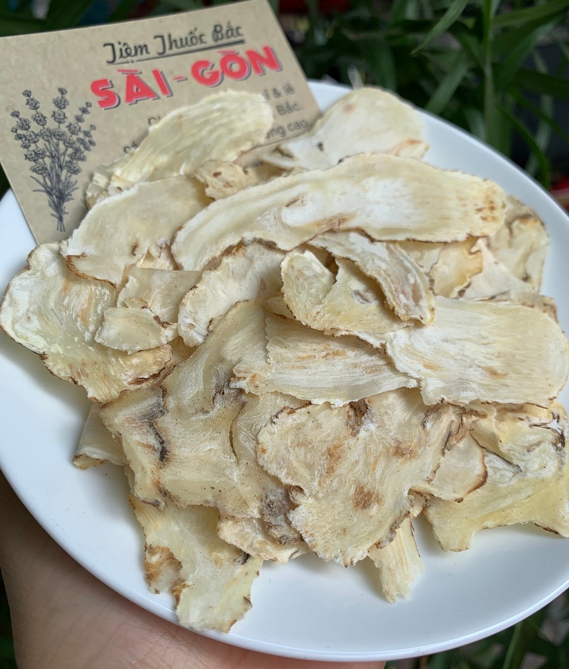 [HCM]Sâm Quy Thái Lát Thượng Hạng 100gram
