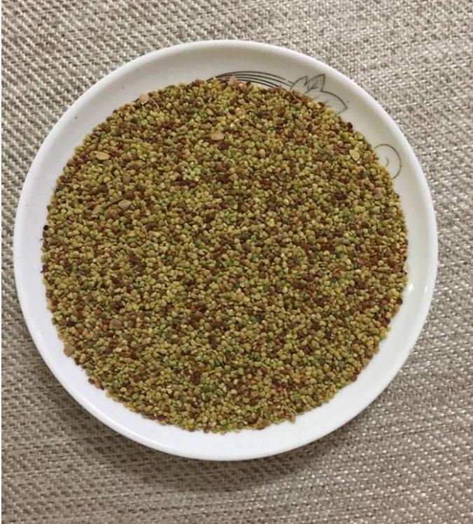 Hạt Giống Kim tiền thảo ( cây dược liệu ) - Gói 50 hạt