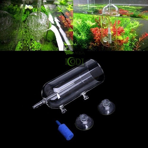 Cốc sủi oxy chống văng nước