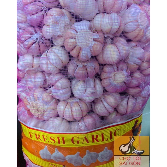 [TỎI CỦ TO ĐẸP- HÌNH THẬT] Tỏi củ 500g -1kg