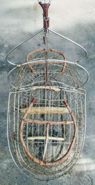 Lồng bẫy chào mào inox hàng xịn
