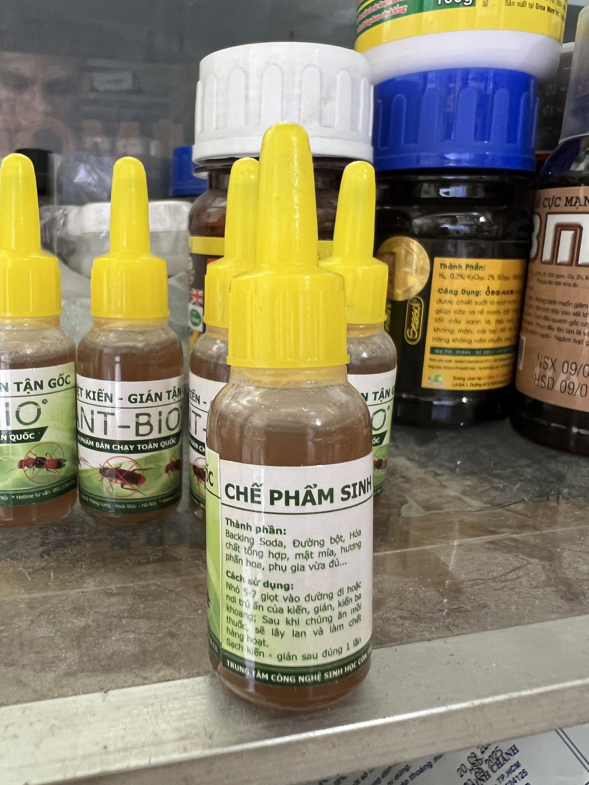 Thuốc diệt kiến tận gốc chế phẩm diệt kiến
