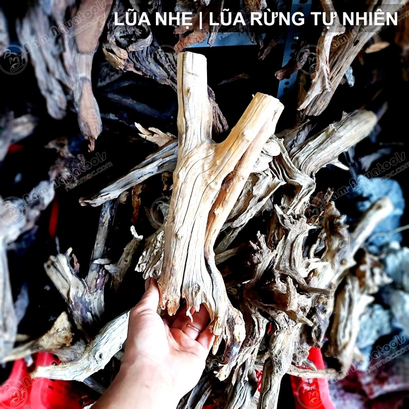 Lũa Nhẹ - Dòng Lũa Rừng Tự Nhiên | Lũa Chuyên Setup Bể Cá Thuỷ Sinh - Bán Cạn - Tiểu Cảnh - Tetrarium [1kg]