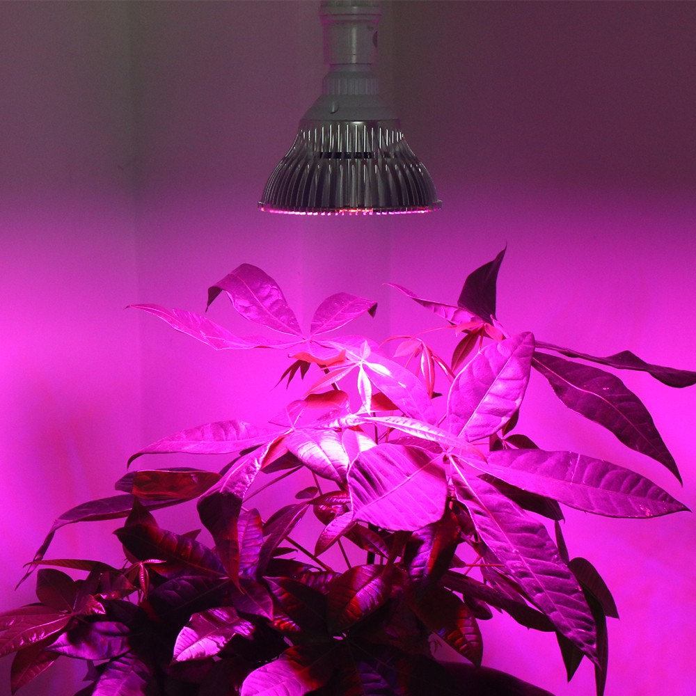 Đèn trồng cây, trồng rau trong nhà, led grow lights 50w-e27, đèn quang hợp cho cây