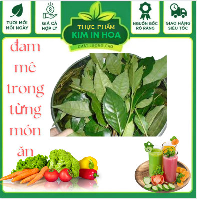 Lá Trà (Lá Chè ) Tươi Dùng Nấu Nước Uống