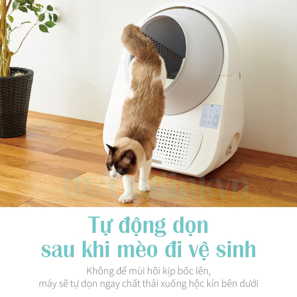 Nhà vệ sinh tự dọn cho mèo CATLINK