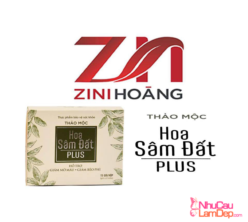 [HCM](Mẫu Mới 2021) Giảm cân Hoa Sâm Đất Plus