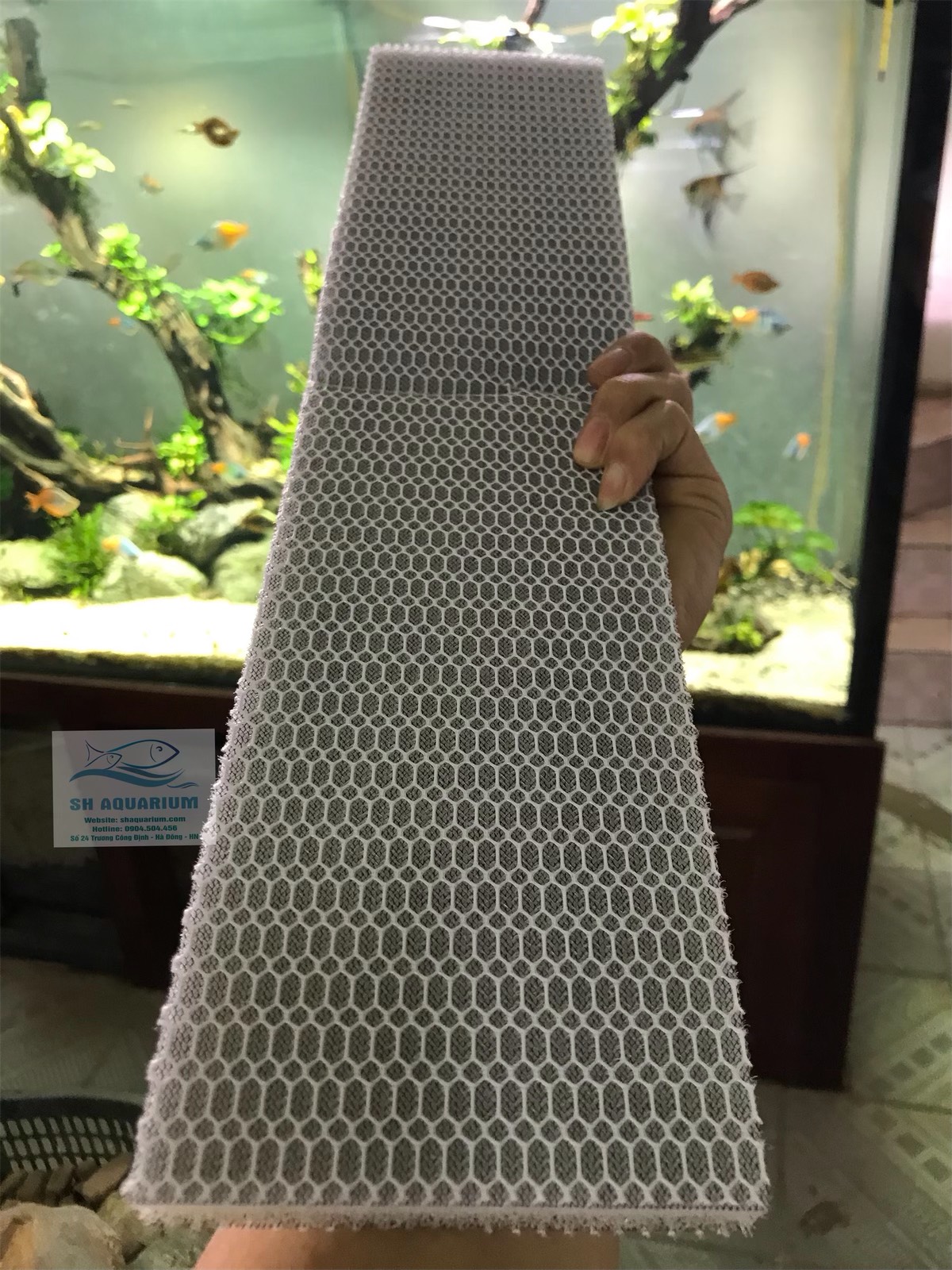 BÔNG LỌC 6D THẾ HỆ MỚI