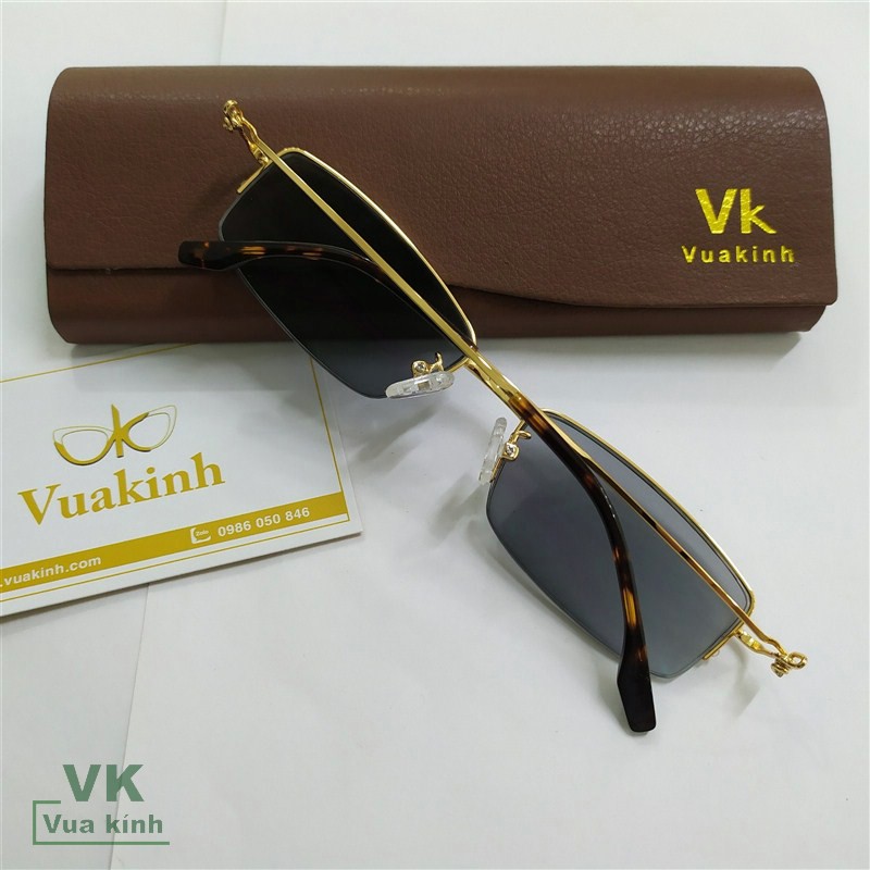 Kính đa tròng đổi màu V347