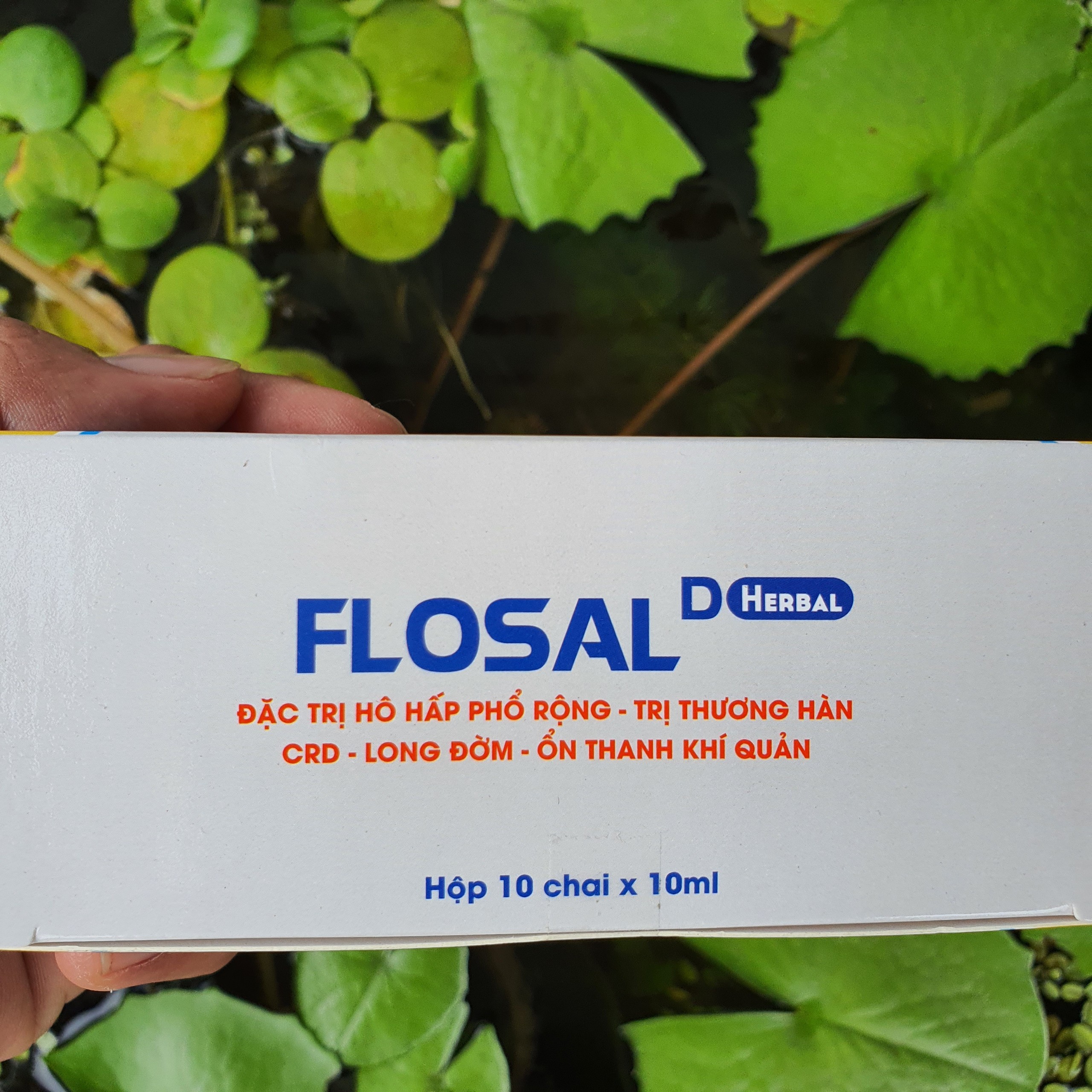 FLOSAL - D đặc tr ị khò khè thuốc gà đá 1 LỌ 10ML