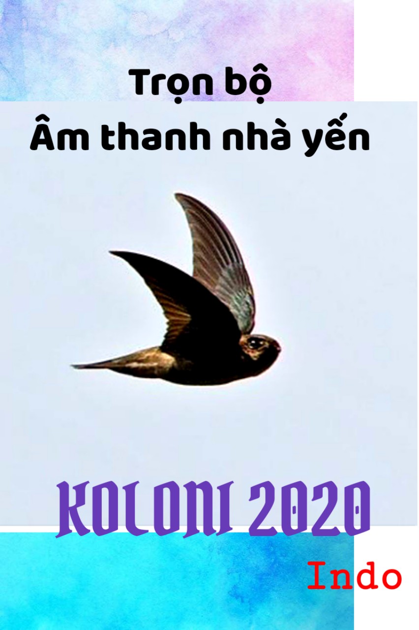 ÂM THANH NHÀ YẾN - BỘ ÂM KOLONI 2020 NHẬP KHẨU TRỰC TIẾP INDO CHO HIỆU QUẢ CAO