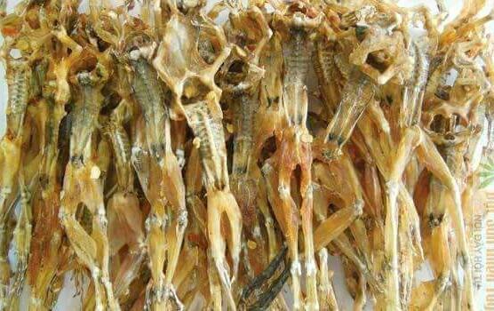 Vũ nữ chân dài - 500g khô nháii