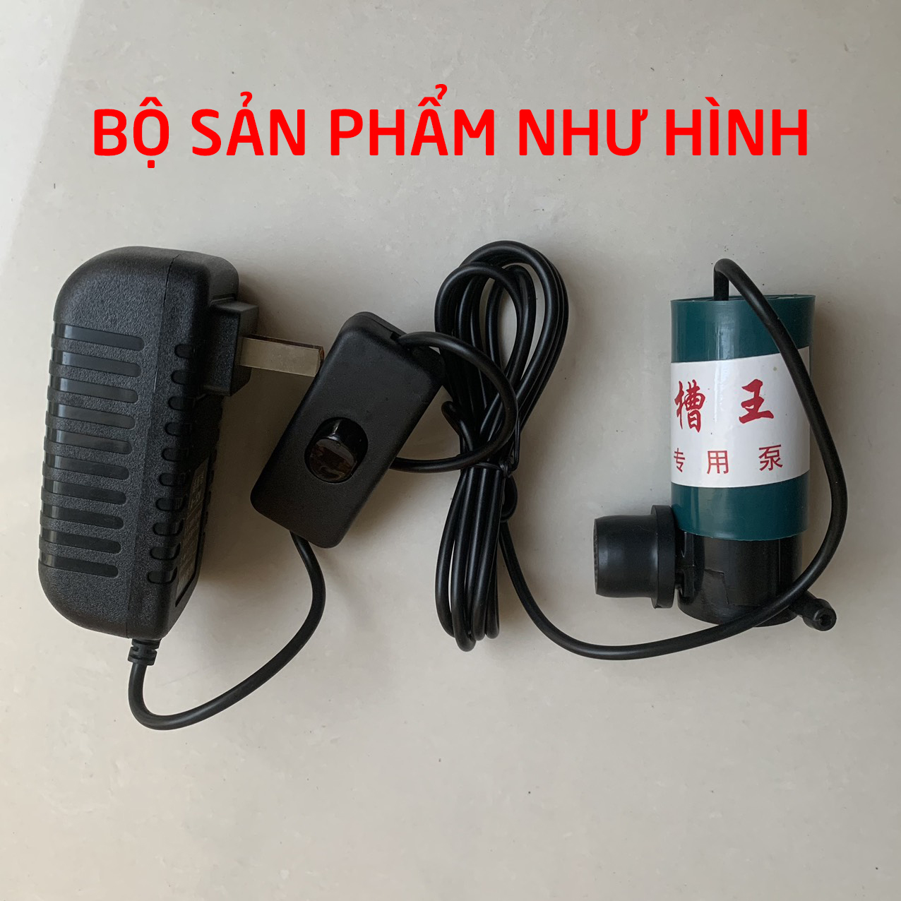 Bơm nước mini Caowang 12V hàng chuẩn chính hãng