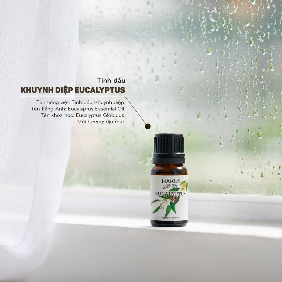 Eucalyptus Essential Oil