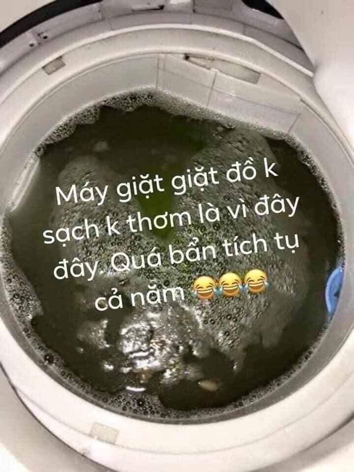 Tẩy lồng máy giặt Nhật Bản