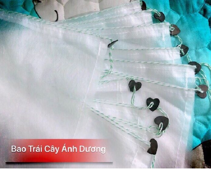 Combo 50 túi bọc trái xoài lớn, na thái... kích thước 22x30 cm