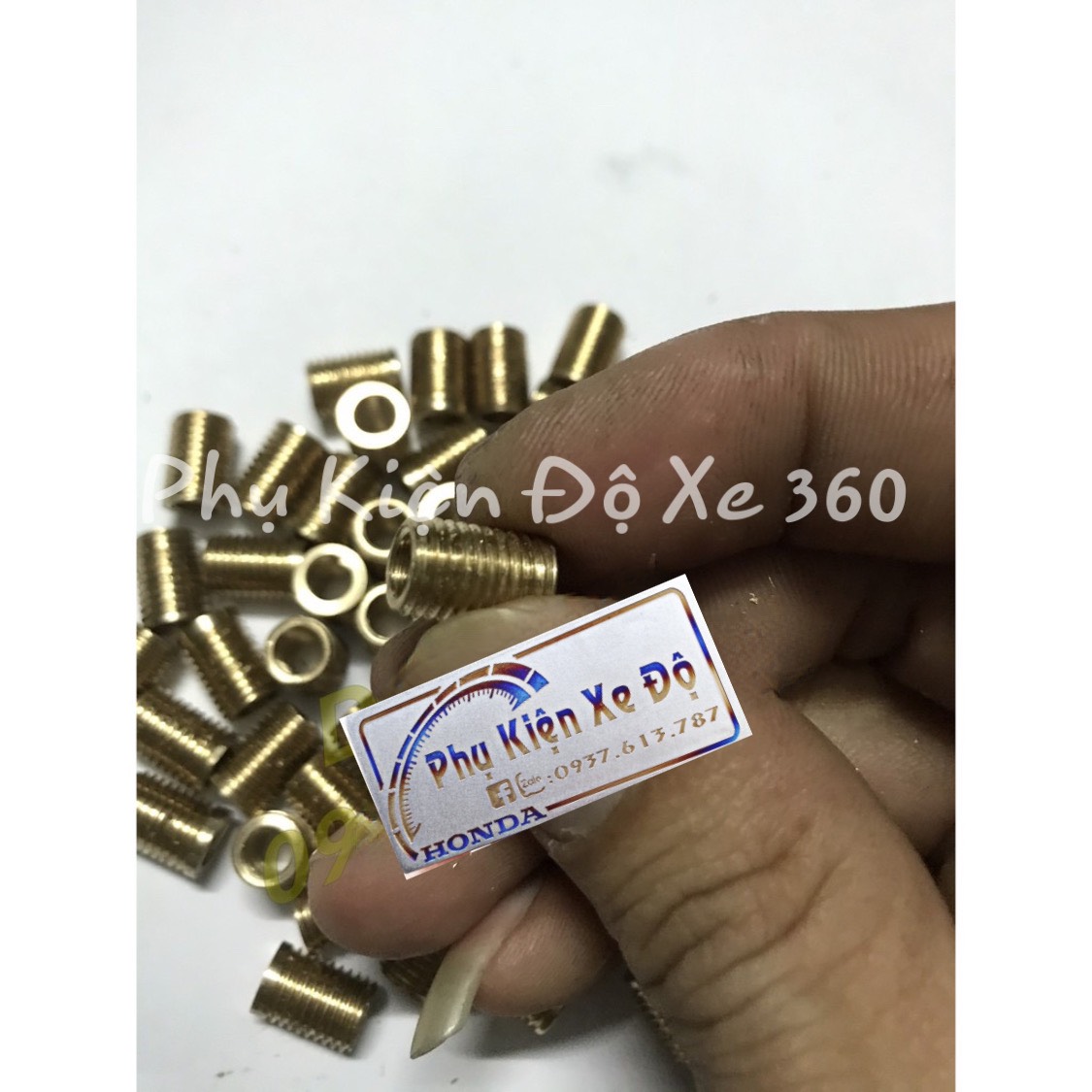 50 Ren Cấy 6x8 Có Taro