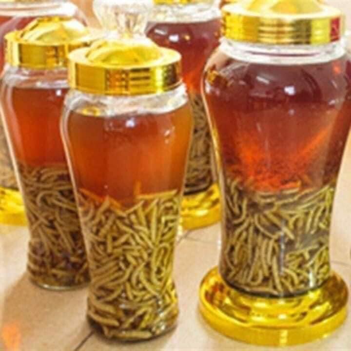 SÂU CHÍT NGÂN SẴN VỀ UỐNG (1.200.000/10lit bình nhựa)