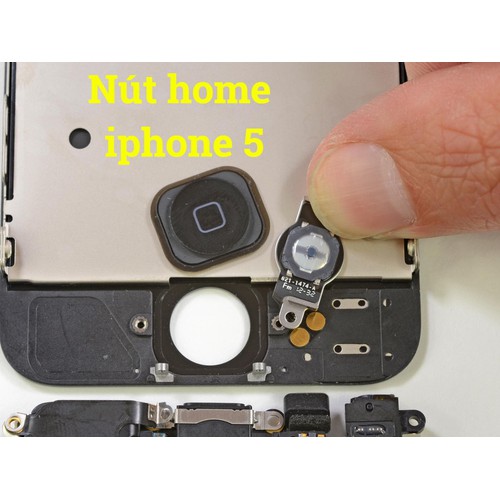 Cáp home IP 5 5G