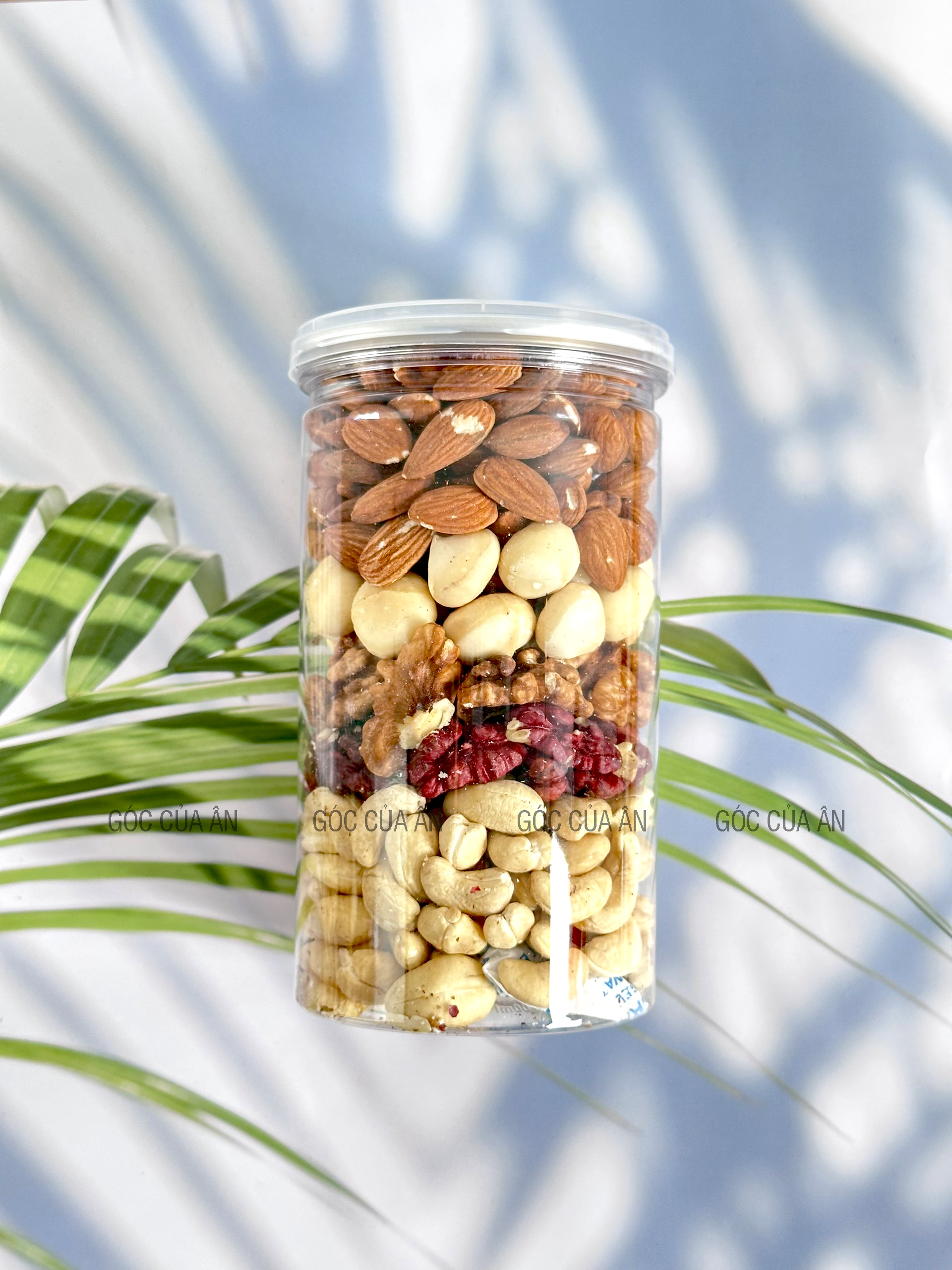 Hạt Dinh Dưỡng Mix 5 Loại Hạt (macca, óc chó đỏ, óc chó vàng, hạt điều, hạnh nhân)