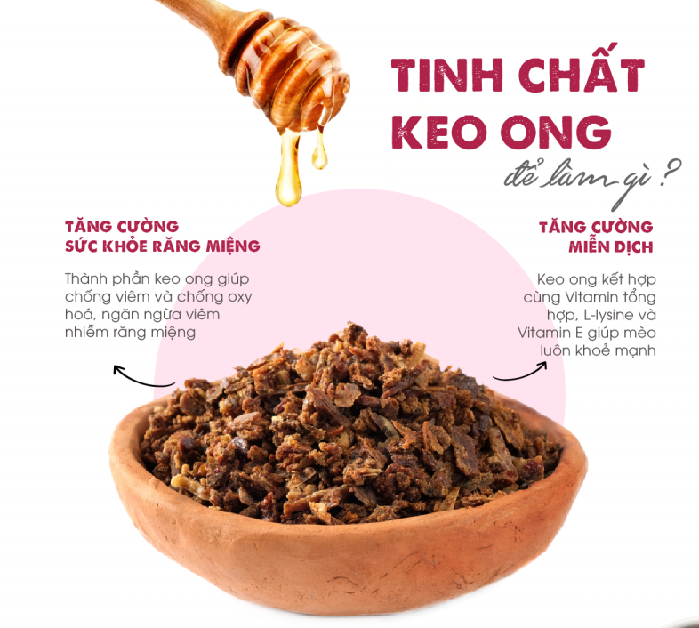 Thức Ăn Cho Mèo Mọi Lứa Tuổi Today's Dinner 1kg
