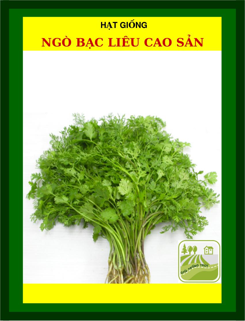 Hạt Giống Ngò Bạc Liêu, Hạt Bể Trang Nông