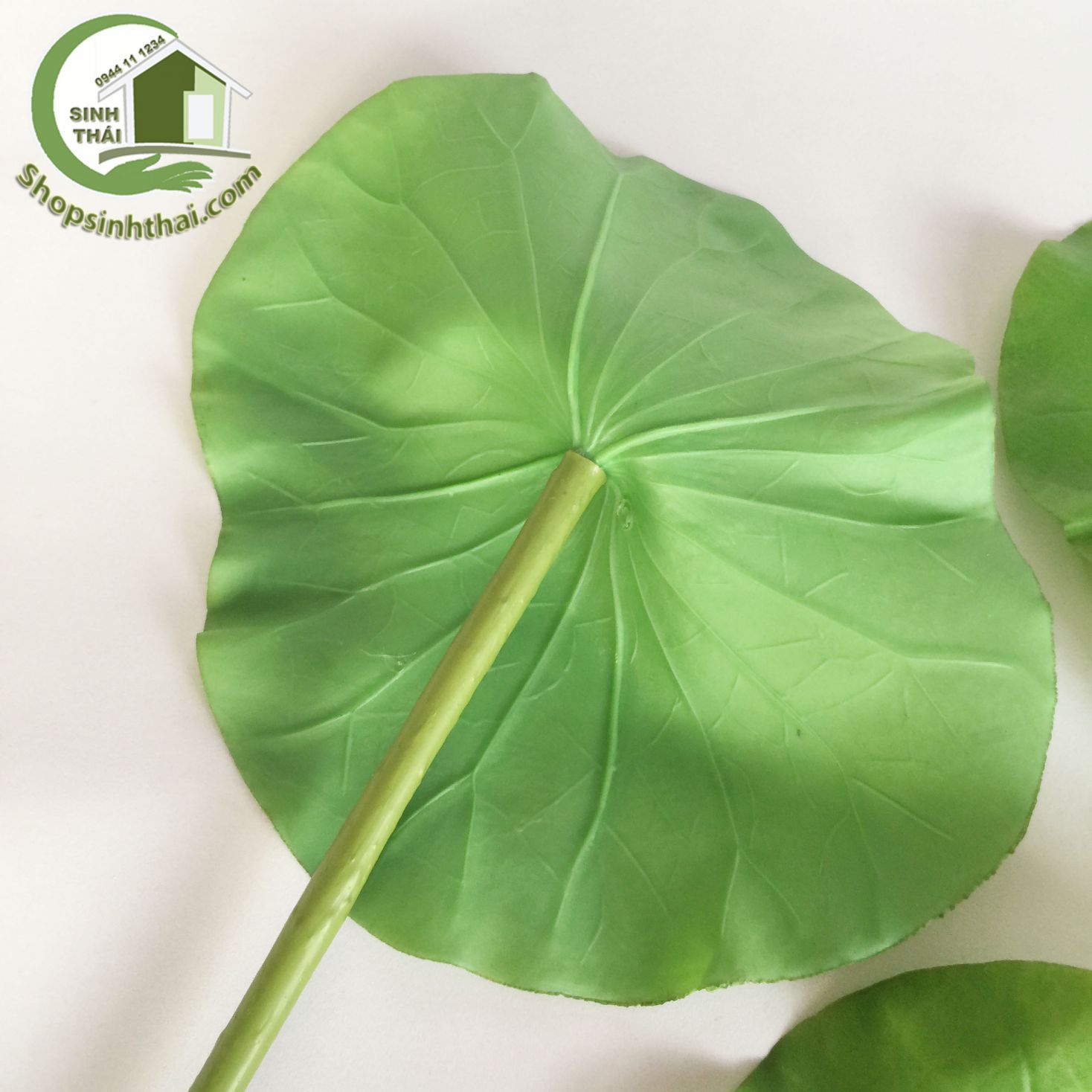 [HCM]Lá sen giả - cành lá sen cao cấp - 1 lá