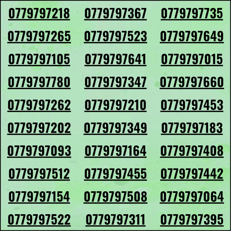 [HCM]Sim thần tài 3979