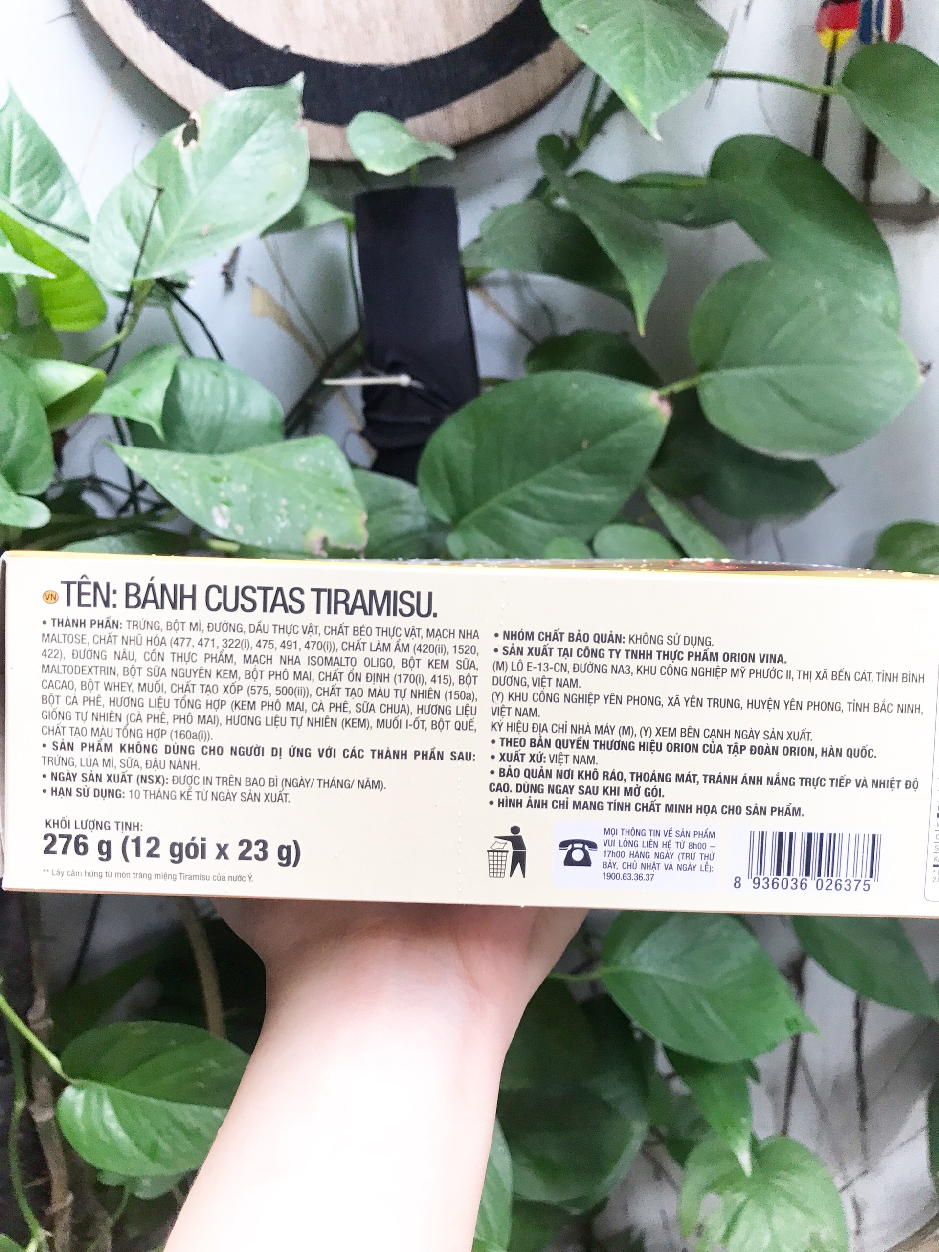 Bánh Custas Orion Tiramisu (Hộp 12 cái)