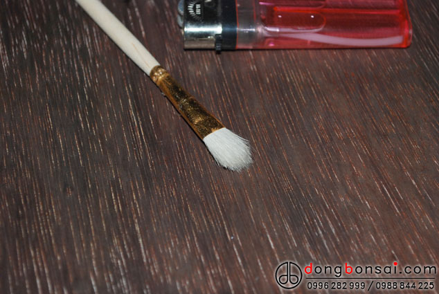 Set 2 Chổi bôi lũa hoặc bôi keo liền sẹo (Set 2 chiếc)